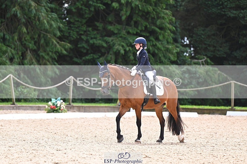 240809-121221-00703 - 211-Amelia.Dovey-Caederwen.Lady.Elinor