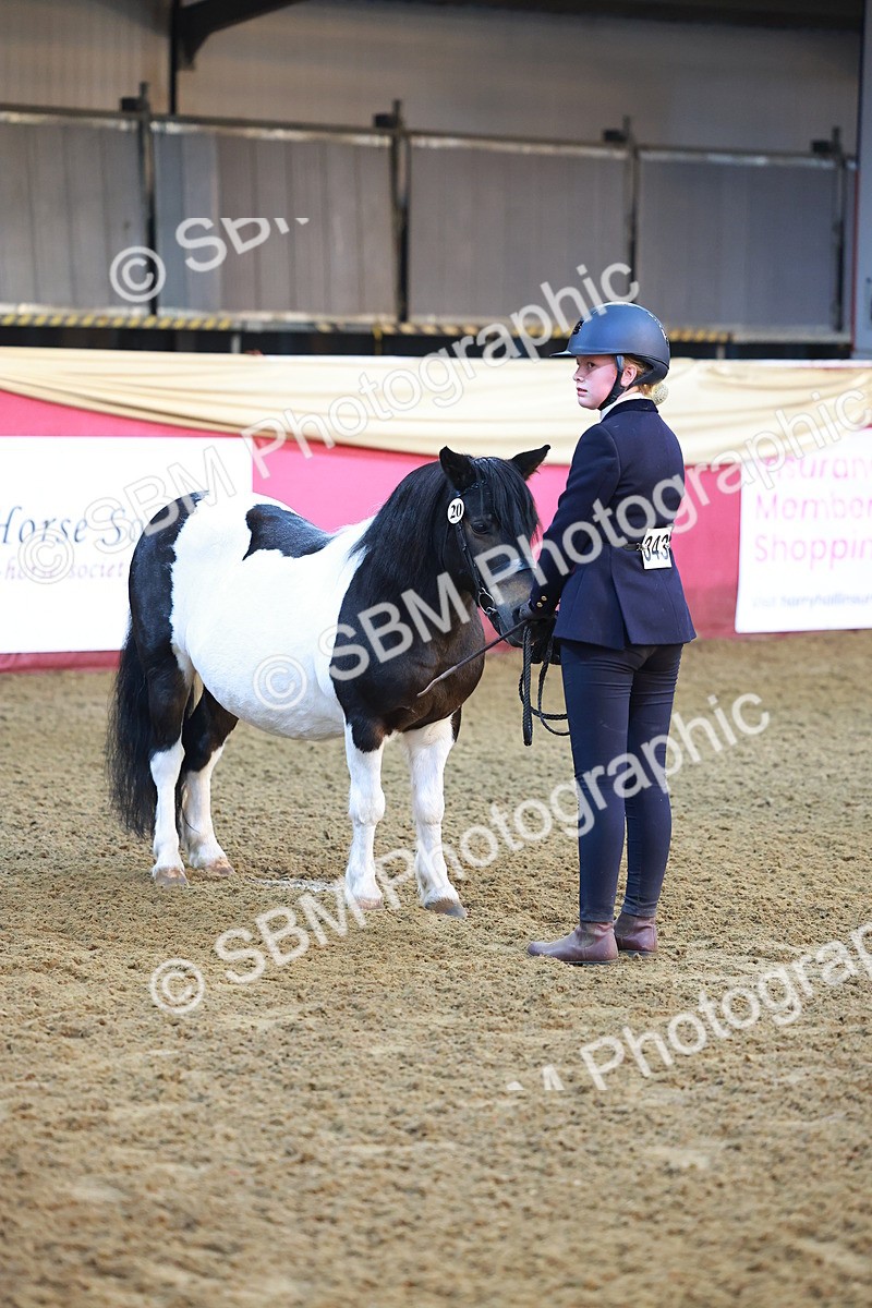 SBM_14718 - Class B - Junior Champ 11 to 16 Years