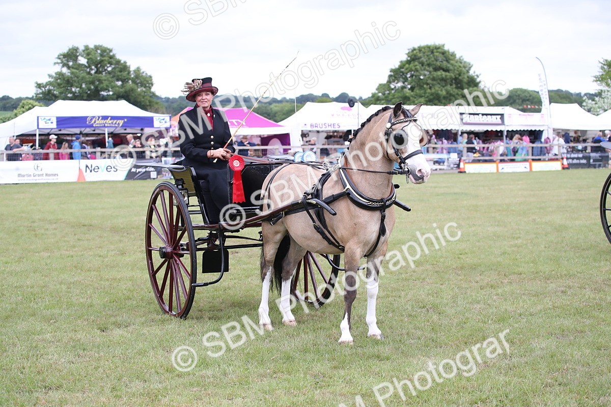 SBM_05868 - Class 12-15 - HOYS Private Driving