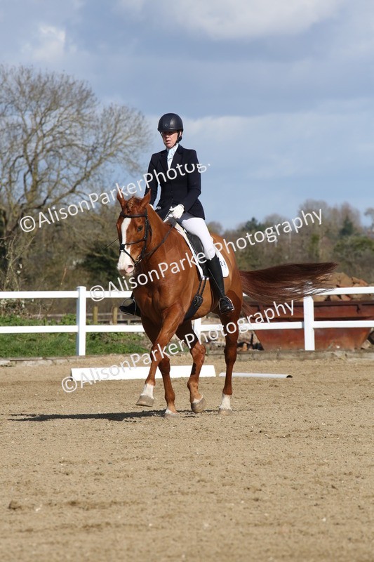 20260314-4145 - CT4 - Novice 1