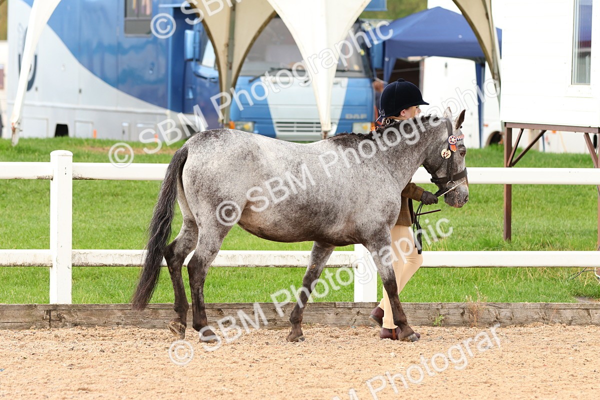 SBM_09172 - Class 204 - Young Handler