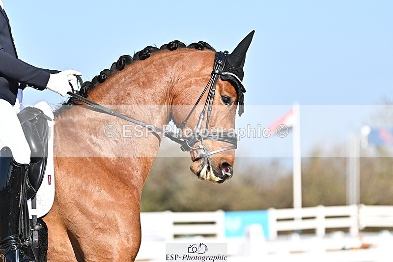 250405-094249-09148 - 178-Jezz.Palmer-Preimer