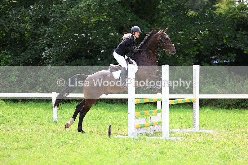 3E7A6941 - Class 5: Senior British Novice/90cm open