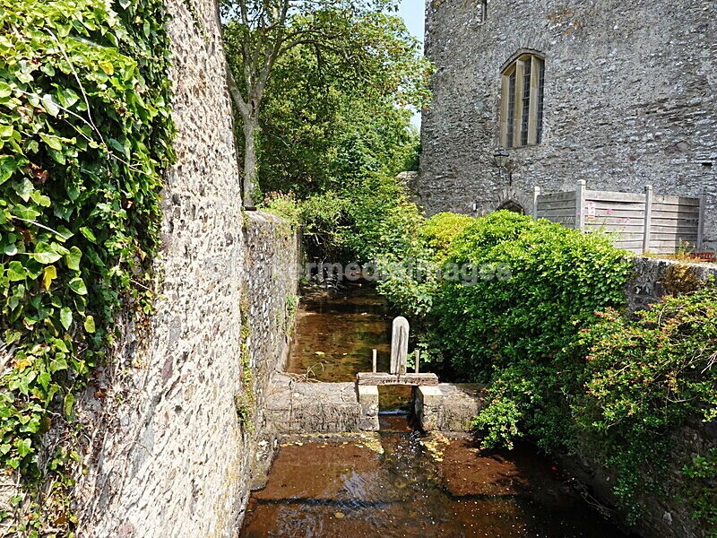 DSC00440 - Skomer 2019