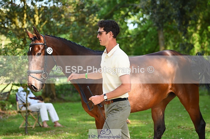 230524-171916-01434 - 176-TENZ-Will_Rawlin-WEDTrotUp+DR