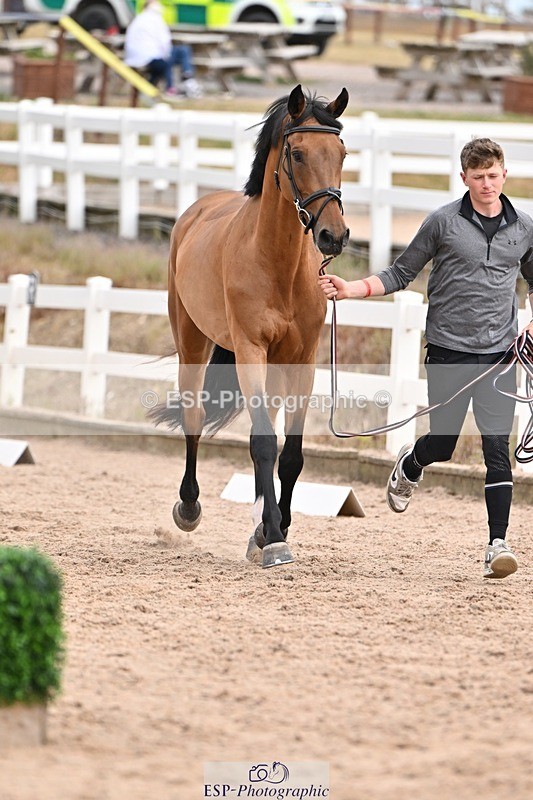 250716-151605-01831 - Trot Up 2.30 to 3.30