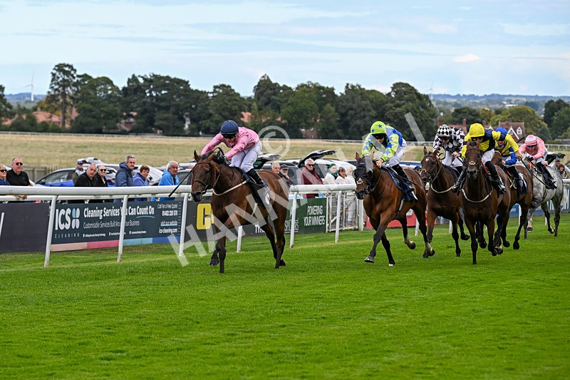 160926-Race 1-Austrian Theory-9146 - Race 1 2.08pm Season Finale Is Next Tuesday Selling Handicap