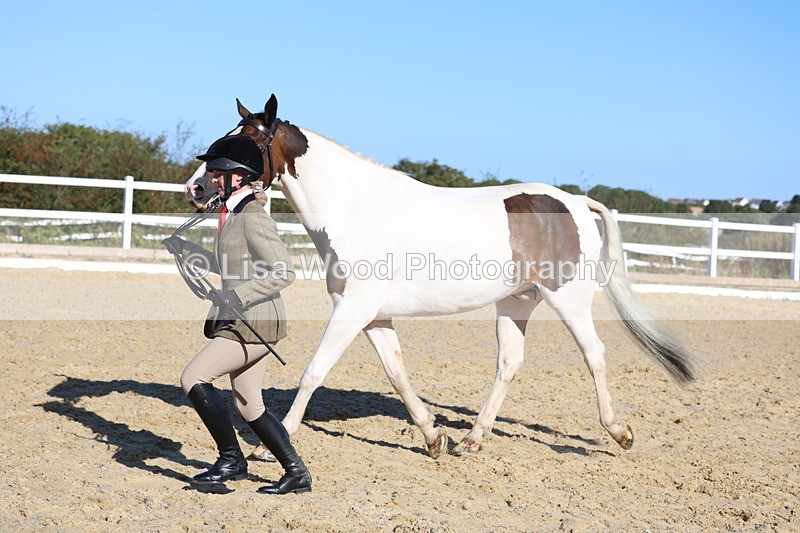 3E7A5321 - Class 8: Small Ridden Hunter