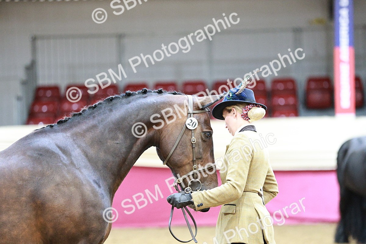 SBM_01004 - Class 2A - Area IH Veteran