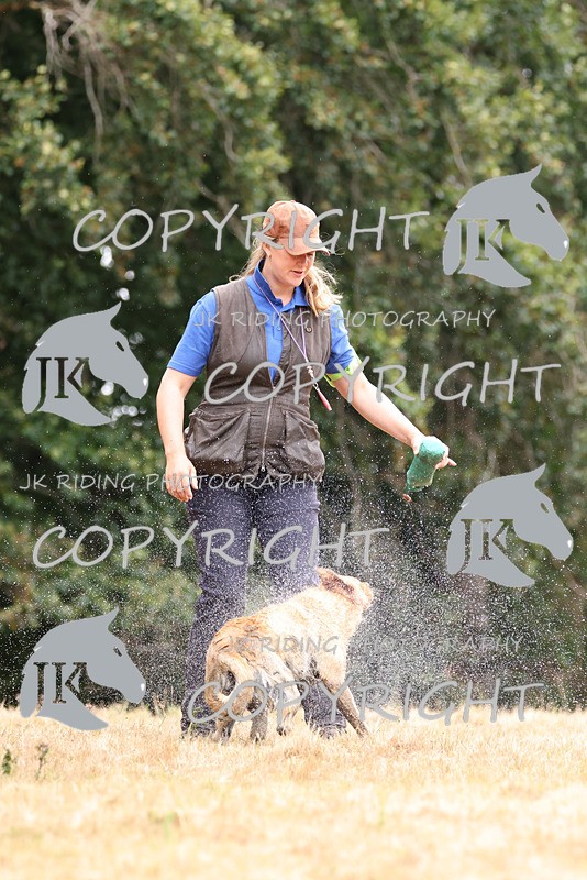 2R6A3545 - ​TEAM A: BORDER COUNTIES & COTSWOLDS 1-2-3
