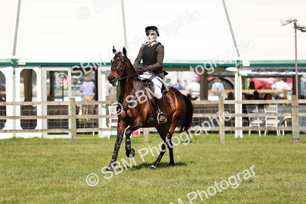 SBM_18421 - Class 112-113 - BSPS LIHS Working Sports Pony