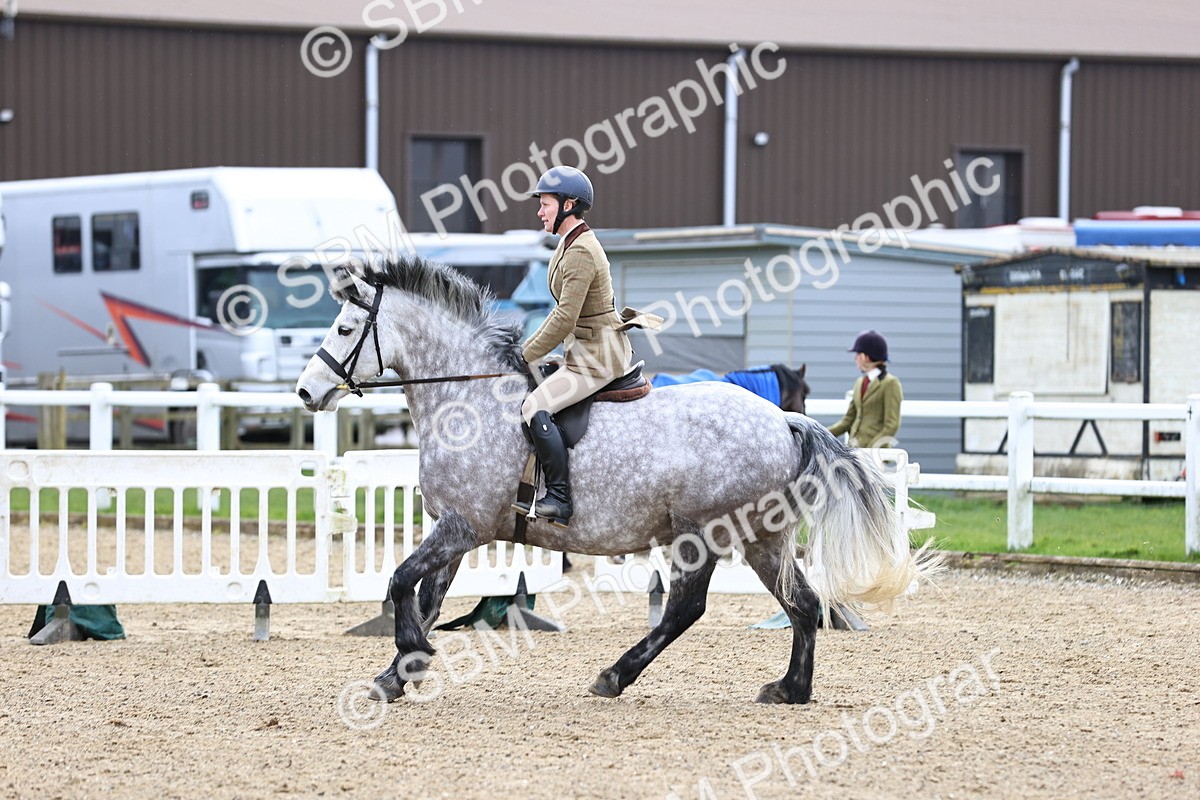 SBM_006979 - Class 29 - 30 - M&M Pure Novice Small-Large Breeds