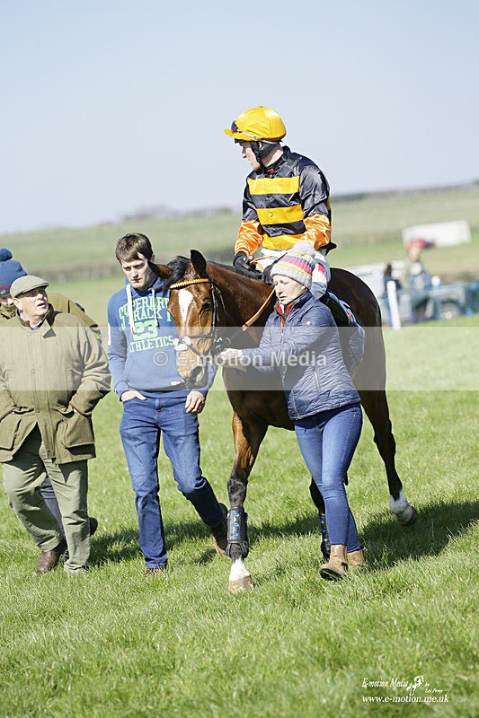 PtP 190322 245 - Wilton Hunt PtP Milborne St Andrew 19/03/22