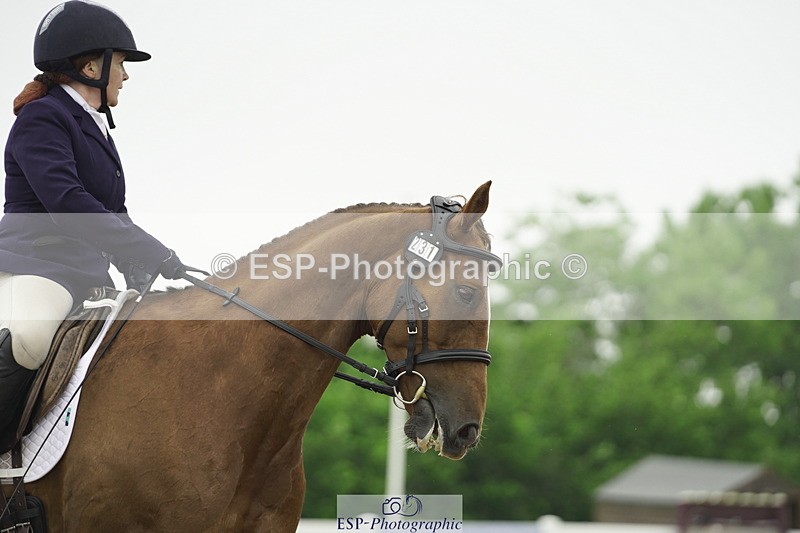 230708A-130940-03563 - Prelim 18