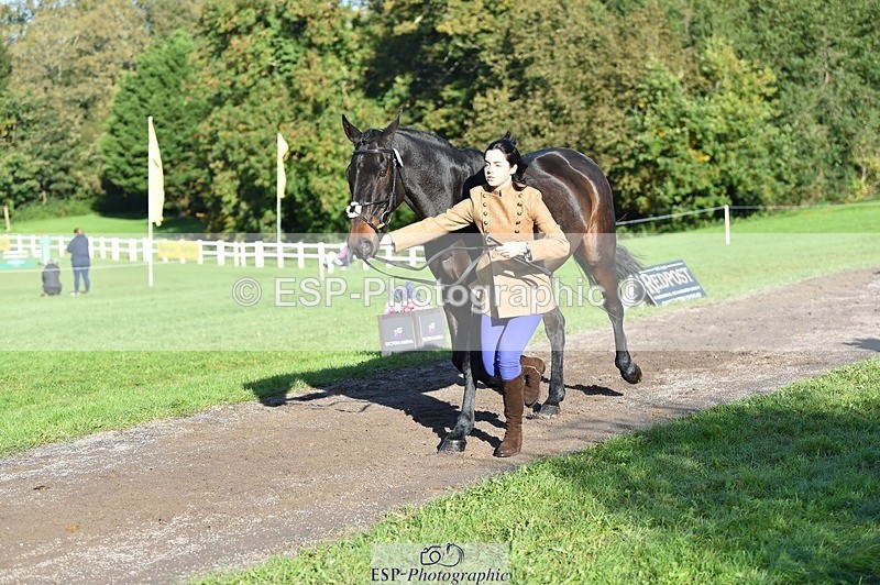 231022-102810-22502 - 472-SIR.LARRY.II-Alice.Wharton-TrotUp+SJ