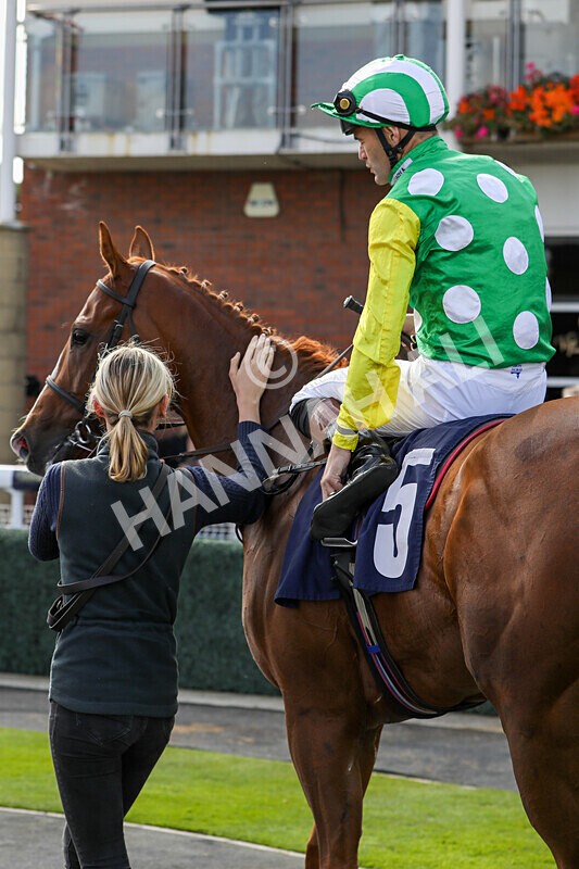 310824-Race 3-Frank The Spark-1399 - Race 3