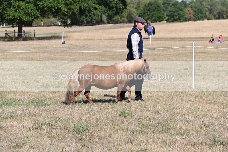 WJ6_4412 - Class 17 Mountain & Moorland