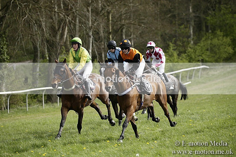 PtP 170417 293 - Old Berks Point-to-Point Lockinge 17/04/17