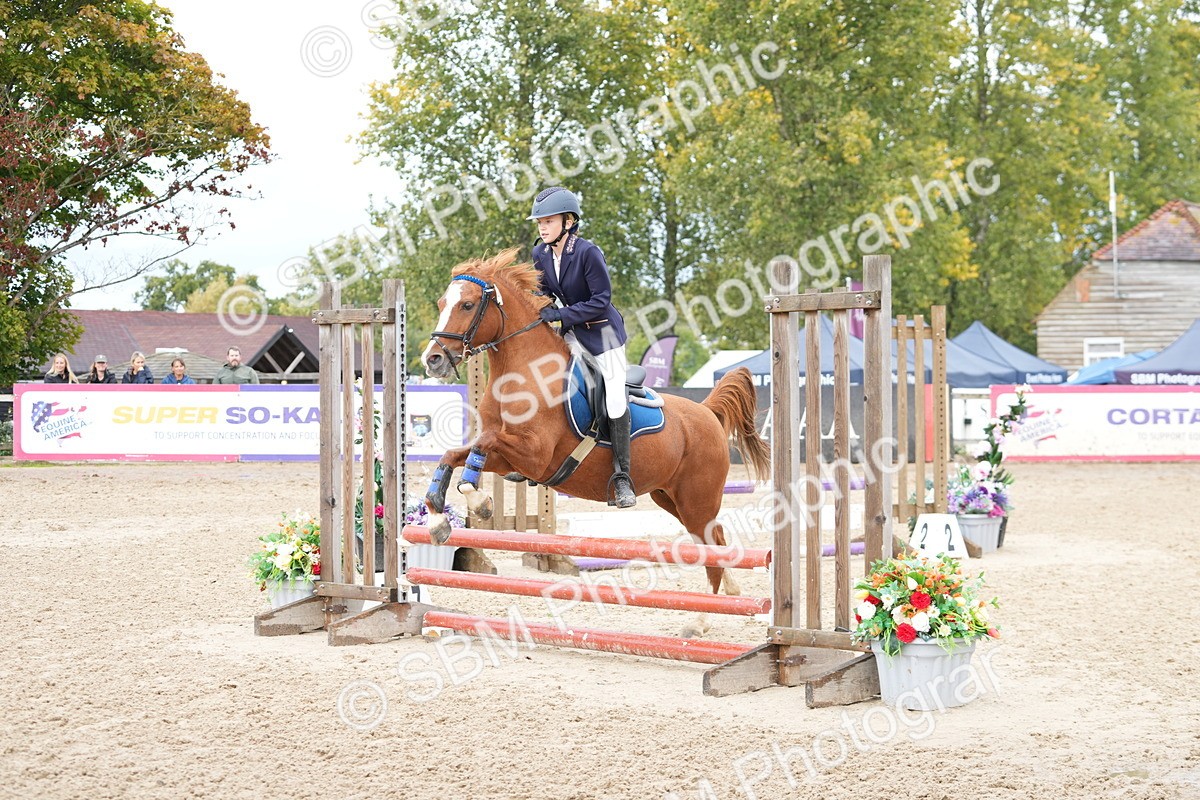 SBM_43478 - J7 - Junior Pony 60cm Championship