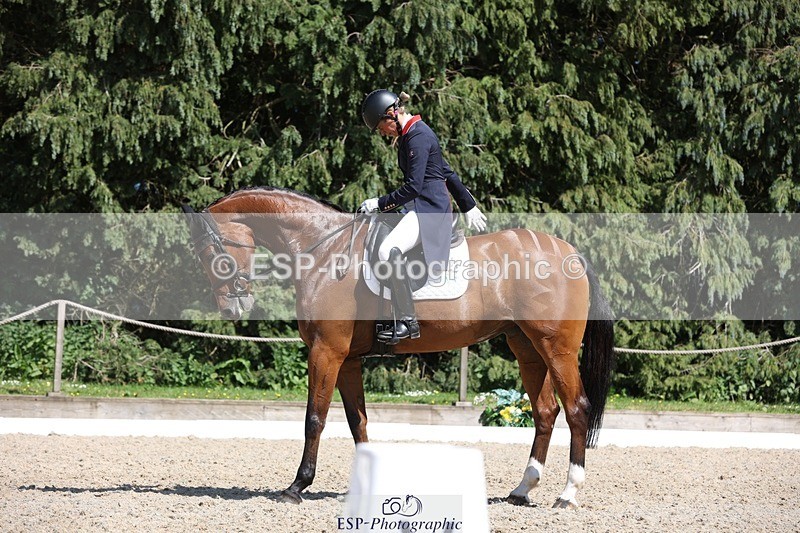 230526-153008-06720 - 381-CAROLINES_AIR_KM-Izzy_Taylor-WEDTrotUp+DR