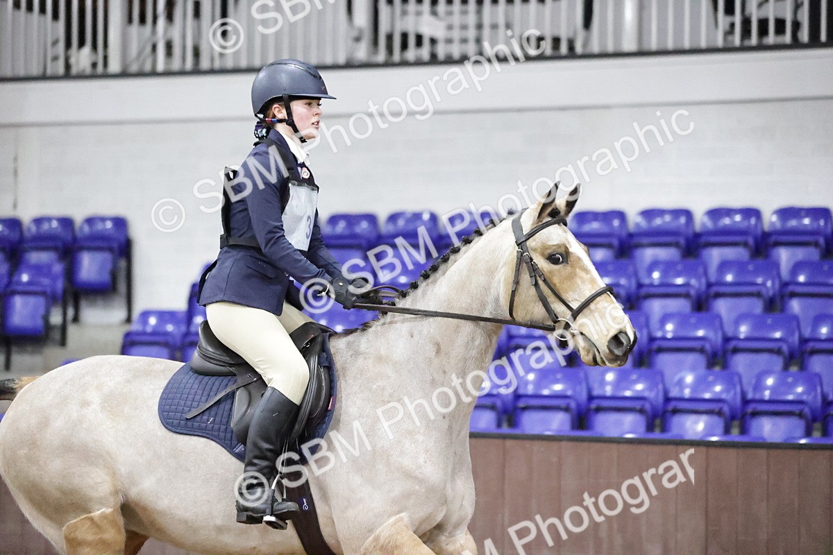 SBM_000385 - Class 1 - 80cm