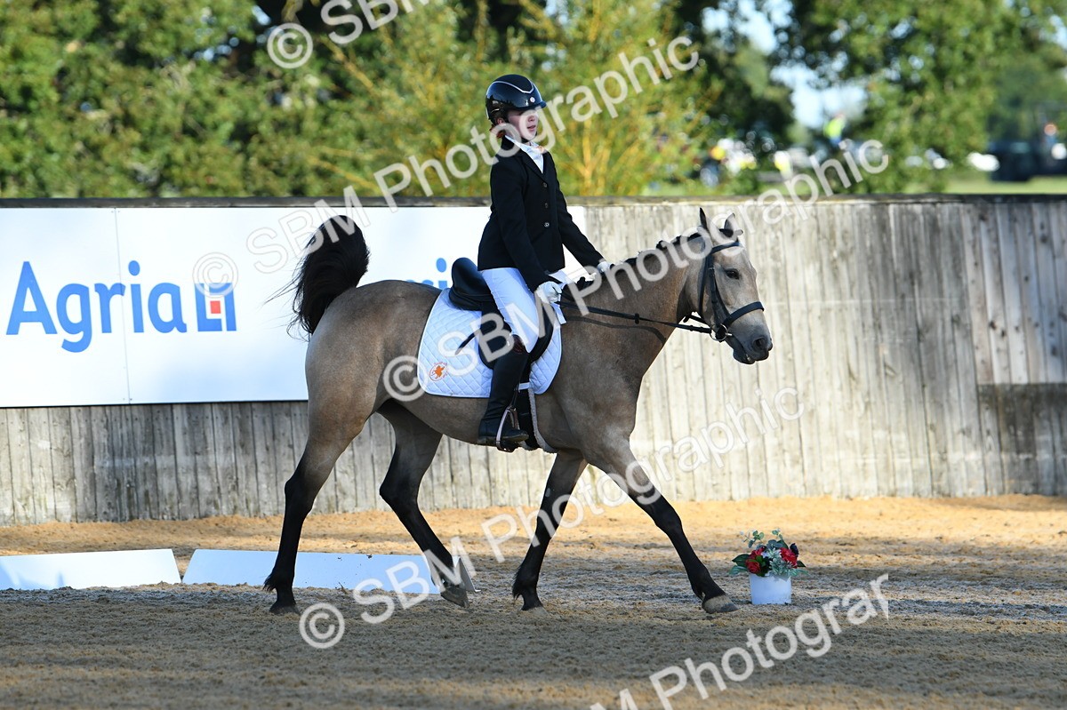 SBM_14307 - D4 - Small Tour Championship - Intro B