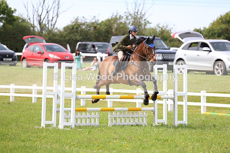 3E7A1878 - Class 13: Senior British Novice/90cm open