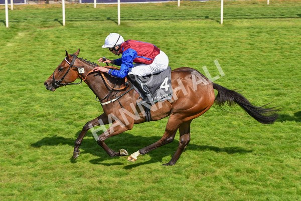 160623-Race 5-Harvanna-6384 - Race 5 4.10pm Juddmonte British EBF Fillies' Restricted Novice Stakes