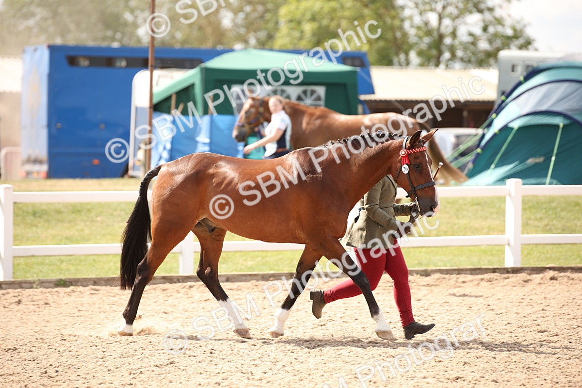 SBM_04541 - Class 20 IH Veteran