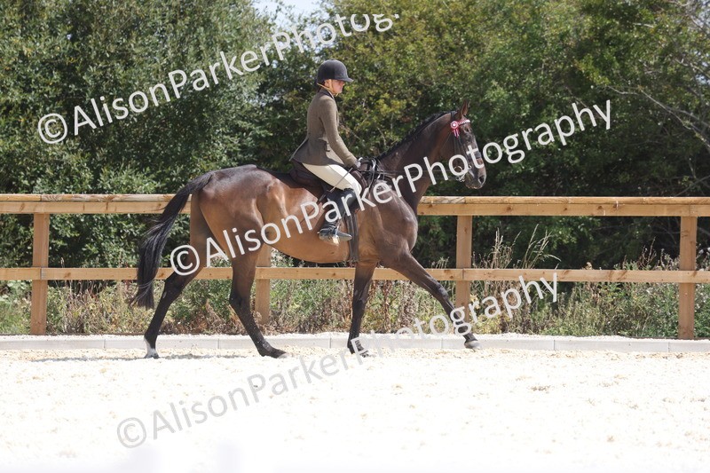 20260802-0712 - Class 8 - Best Riding Horse or Pony