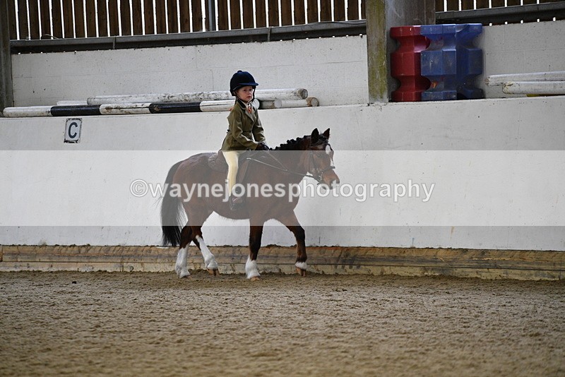 WJ5_6519 - Class 10 Childs Pony