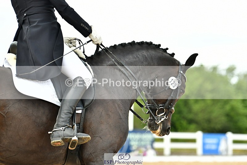 230702A-155151-11034 - Cls 37 + 42 FEI PSG + GP