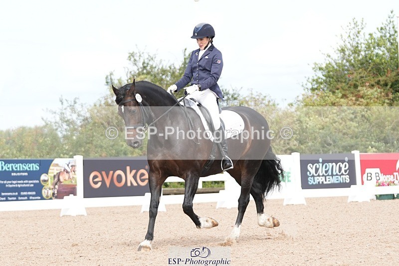 250906-111227-01956 - 030-Rebecca.Ezra.-.HamMaesmynach.Mr.Sam