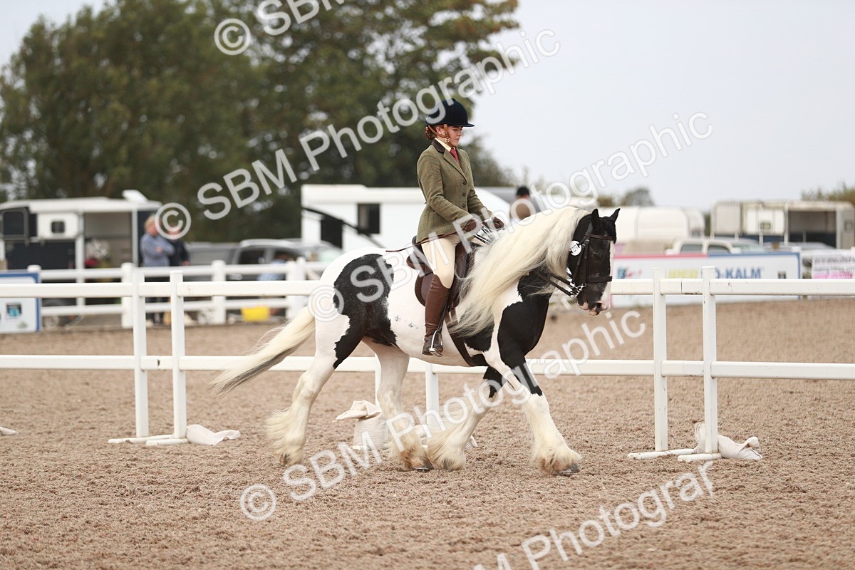 SBM_16597 - Class 214 Ridden Cob