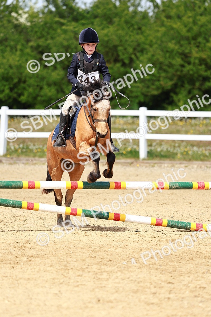 SBM_007864 - Class 3 - 60cm