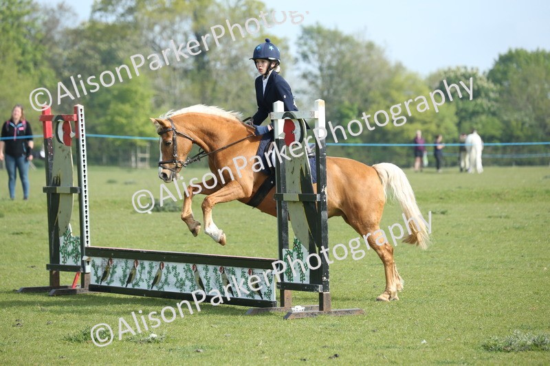 20260426-0149 - Class 13 - Rookie Jumping 50cm