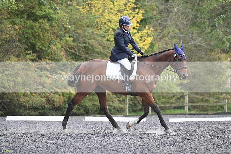 WJ7_6465 - Time 14:49 to 15:14