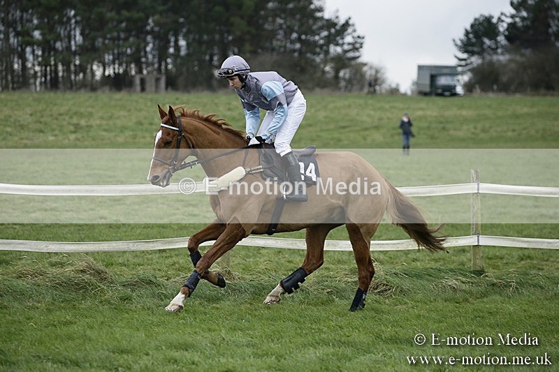 PtP 031217 413 - Hursley Hambledon Point-to-Point Larkhill 03/12/17