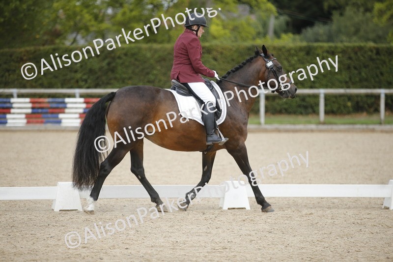 20260913-0338 - Class 3 - Novice 5