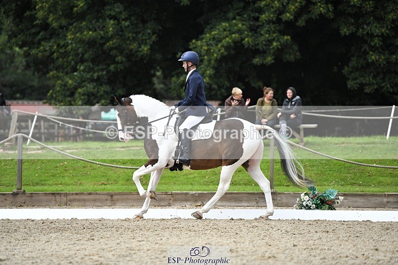 230812-123348-04151 - Cls 6 Novice Silver 12.10 to End