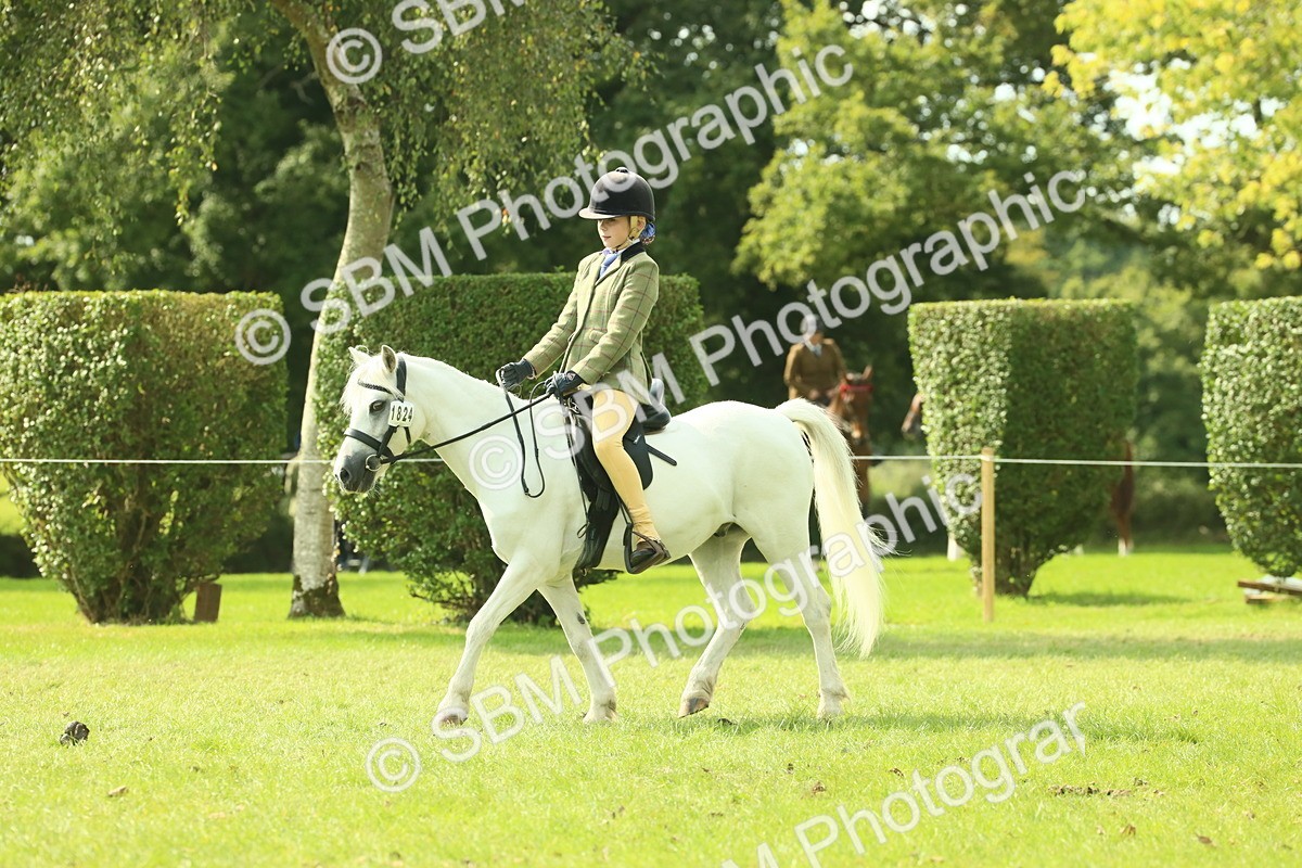 SBM_66491 - S34 - Rehabilitated Rescue Horse & Pony In Hand & Ridden