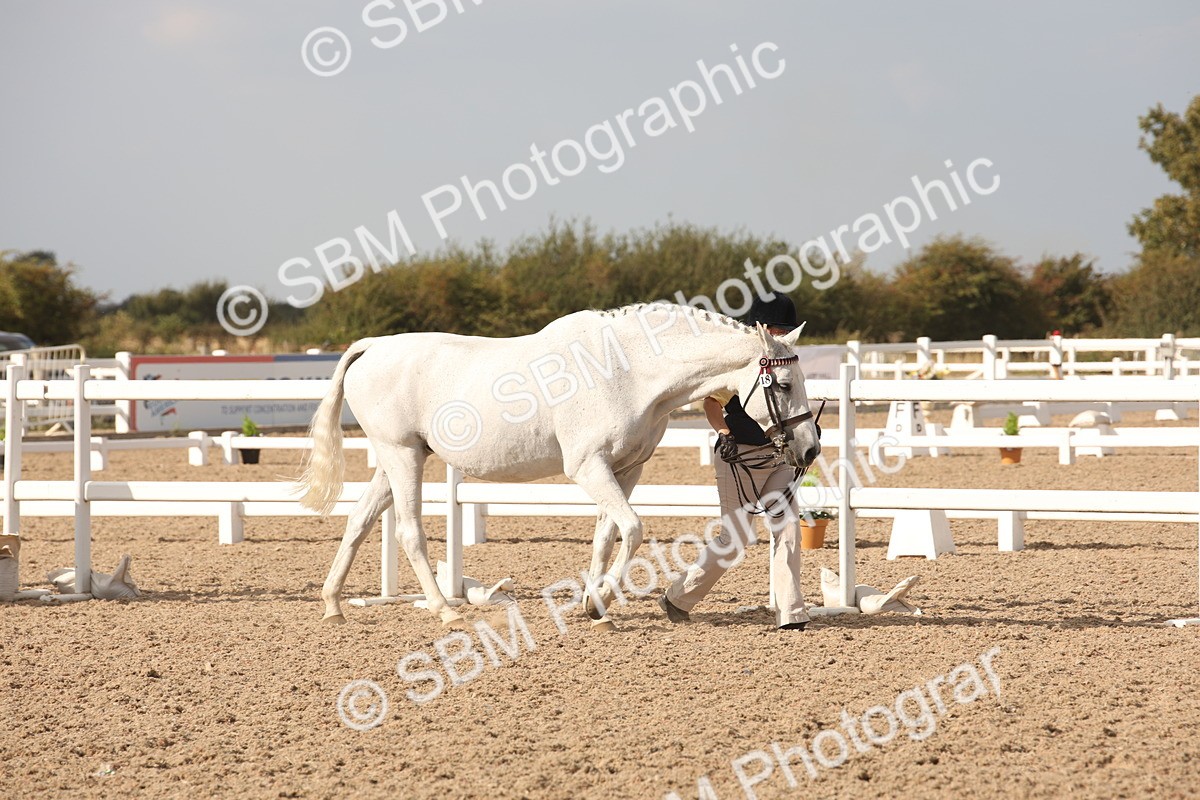 SBM_08133 - Class 27 - IH Competition Horse-Pony