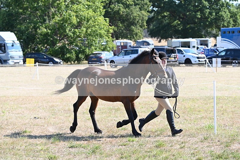 WJ6_7537 - Class 34 Judges Choice