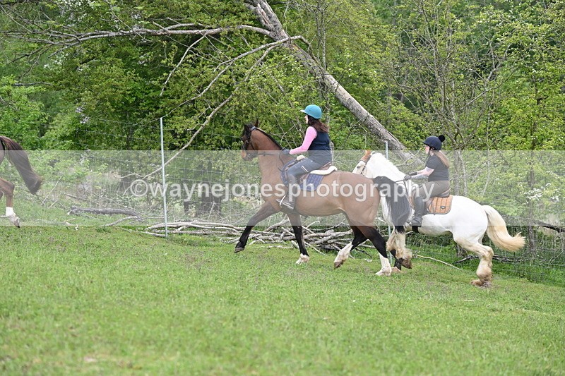 WJ6_3236 - A camera