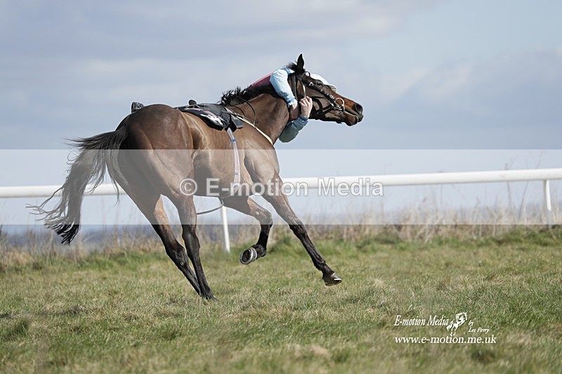 PtP 260223 506 - South & West Wilts Point-to-Point Larkhill 26/02/23