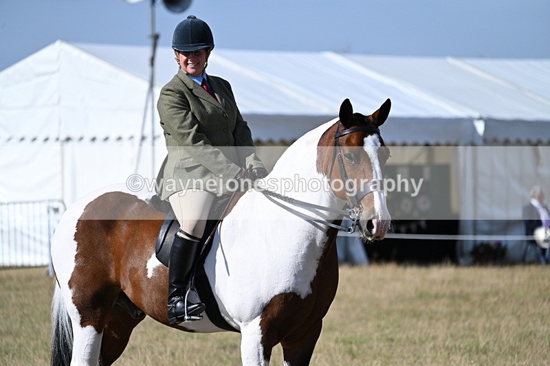 WJ7_2893 - Class 8 Ridden Tack & Turnout