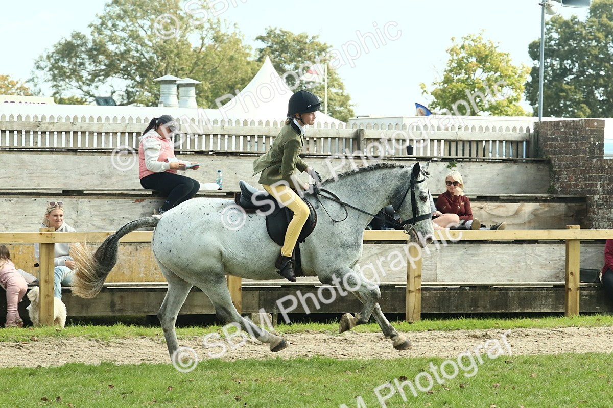 SBM_67561 - S56 - Coloured Pony Ridden