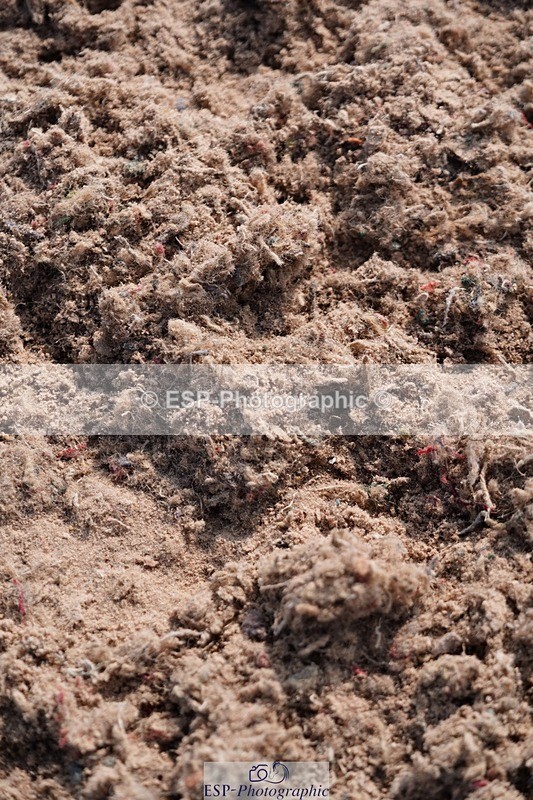 250608-090910-01693 - Cls 2 Pony Intro 70cm