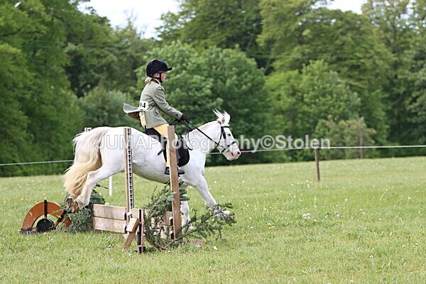 IMG_2552 - Working Hunter