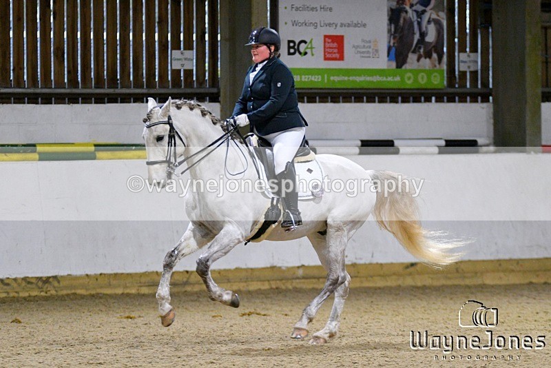 WJ5_4746 - Edited examples